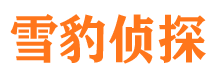 开阳市侦探公司